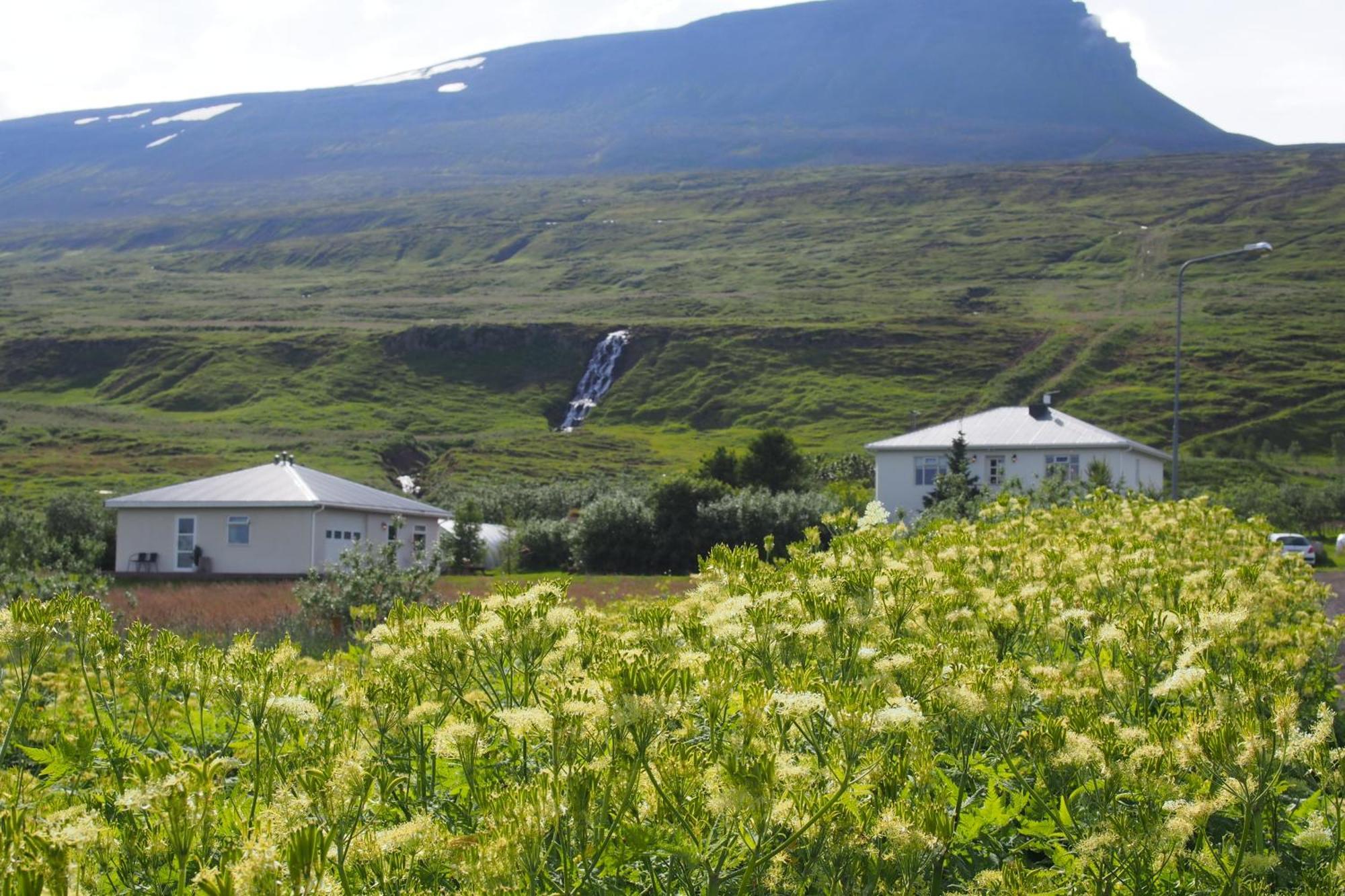 Granastathir Guesthouse Húsavík Exterior foto